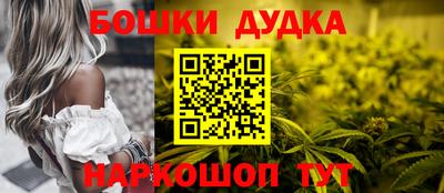 прущие крисы Будённовск